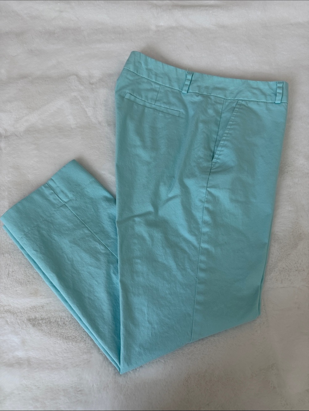 Banana Republic Aqua Cropped Chino Pants